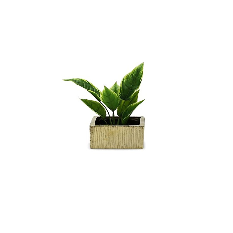 WGV Gold Scratched Square Ceramic Vase, Width 8", Height 4",