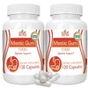 Logic Nutra Mastic Gum Supplement