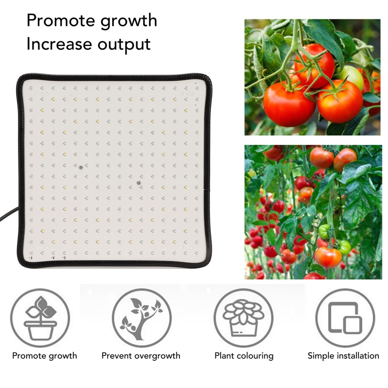 Plant Growing Lamp Scientific Control Low Heat LED Grow Light