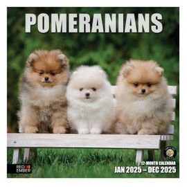 RED EMBER Pomeranians 2025 Wall Calendar 12 Month | 12" x 24" Open | Thick & Sturdy Paper | Giftable | Calendar 2025