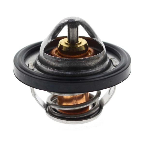 Beautycom Thermostat for Motorcycle Engine Coolant Fits GRIZZLY 660 YFM660