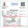 Entimio Ardente +600 mg/kg Polyphenol Rich Organic Extra Virgin Olive
