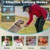 Dog Shock Collar with Remote Control - 3300Ft Dog Training