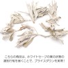 GOLD STONE White Sage with Branches, Cluster, Unselected, 1.8 oz