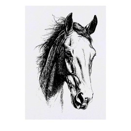 'Horse Portrait' Temporary Tattoo - Water Resistant, Skin-Safe, Non-Toxic Transfer (TO00082083)
