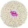 Smarty Stop Marshmallows, Mini Size (3 Pound (Pack of 1))