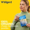 Wellgard Organic Chaga Mushroom Powder 90 Grams - Mushroom Supplement,
