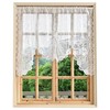 Jayla White Semi-Sheer Floral Lace Curtain Swag for Kitchen Half