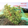 LXGKREL Bird protection net, bird net, pond net, garden net,