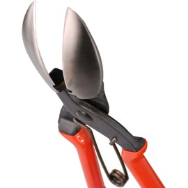 Pumpkin harvesting shears can easily cut even hard shafts. Suwada convenient for cutting garlic and onions