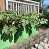 Selections Potato & Vegetable Planter Grow Bags 26 Litre (Pack