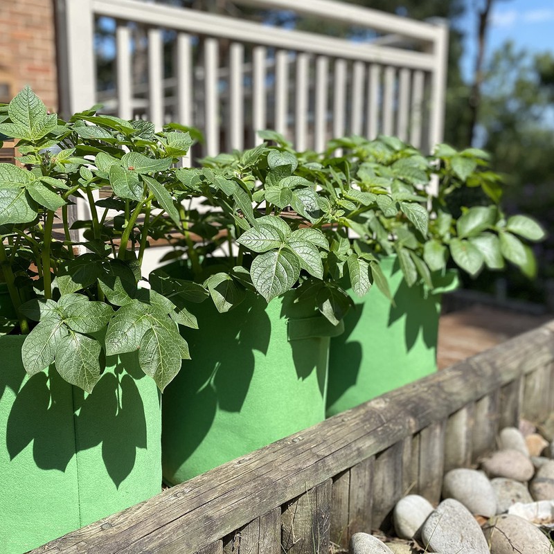 Selections Potato & Vegetable Planter Grow Bags 26 Litre (Pack