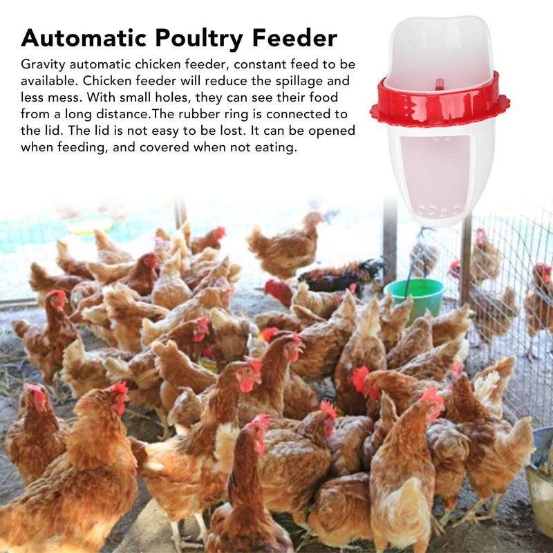 Chicken Feeder Rain Proof Poultry Feeder Port Gravity Feed Kit