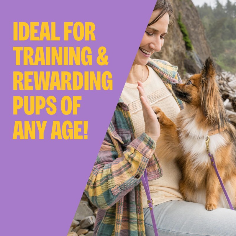 Wellness Puppy Treats, Natural, Training Treat, Grain Free, Soft Lamb