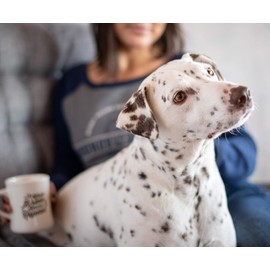 Grounds & Hounds Alpha Blend - Bulk 2 LB Dark Roast – 100% Organic Ground Coffee - 100% Arabica Small Batch Roasted - Ground - Dark Roast