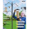 iBorn Metal Bird Feeder for Outside Hanging,Wild Bird Feeders for