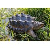 Hi-Line Gift Snapping Turtle Garden Statue Lifelike Yard Decor Wildlife