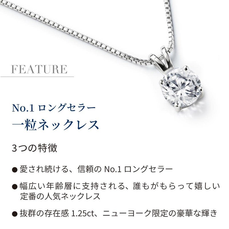[Gift From New York] 1 Stone NY Limited Designer Necklace