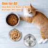 ARGCONNER 6 Pcs Stainless Steel Cat Bowls, Metal Cat Bowls