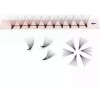 Lashesandfun Blister Pestañas Premade Megavolumen Mix 8-15mm 10d A 16d