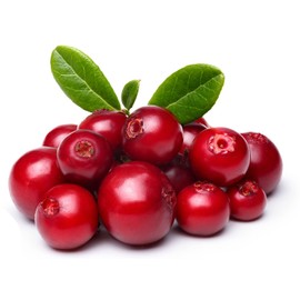 Arándano 180 Cápsulas (2 Frascos de 90 Cápsulas Vegetales de 500 mg Arándano 100% Natural) | SUPERVIDA NUTRITION