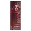 Pulp Riot Semi-Permanent Hair Color Shadow Collection 118ml - Bloodshot