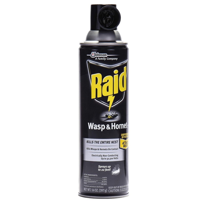 Raid Wasp Hornet Killer Spray 14 Ounce (Pack of 2)
