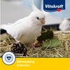 Vitakraft Crunch Sticks Golden Honey Flavor Bird Treat for Cockatiels