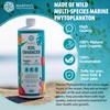 MARPHYL Plant Fertilizer Houseplants and Garden - Marine Phytoplankton Soil