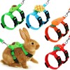 YS0911 Rabbit Harness and Leash Set Adjustable for Small Animals