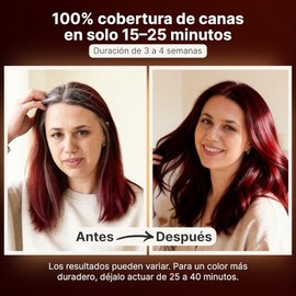 Herbishh - Champ colorante para cabello gris, champ con tinte natural para el cabello, colorea el cabello en minutos, dura hasta de 3 a 4 semanas,... 