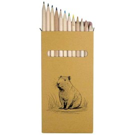 Azeeda 12 x ' Capybara' Long 178mm Coloured Pencils/Pencil Set (PE00057901)