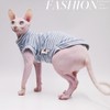 Sphynx Cat Clothes Pure Cotton Soft and Stretch Spring and