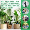 SiliFine 8 Set Plant Watering Devices with Self Watering Spikes