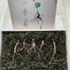 아리랑산양산삼 5년근 5뿌리 Arirang Mountain Ginseng 5-Year-Old 5 Roots