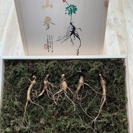 아리랑산양산삼 5년근 5뿌리 Arirang Mountain Ginseng 5-Year-Old 5 Roots