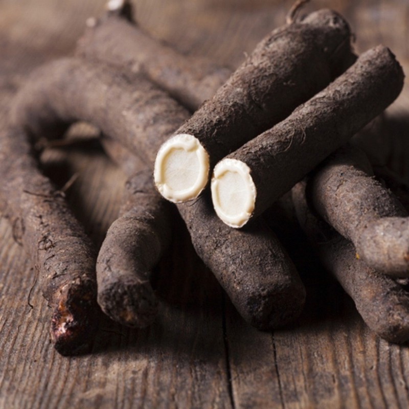 NIKA SEEDS - Vegetable Salsify Black Root - 100 Seeds