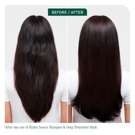 BIOLAGE Hydra Source Deep Treatment Mask - Nourishes & Smooths, For Dry Hair, Infused with Micro-Filtered Aloe Vera & Fermented Hyaluronic Acid, Vegan & Paraben-Free, 16.9 Fl Oz