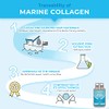 Laboratoires Nutrimea - Marine Collagen Capsules - with Vitamins A