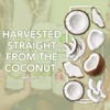 CoCo Joy Lean Coconut Water, Zero Sugar Added, Low-Carb, High-Calcium,