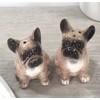 Lesser & Pavey Salt & Pepper Set for All Types