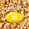 M&M'S Peanut Chocolate Candy 5.3-Ounce Bag (Pack of 12)