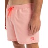 Quiksilver Men's Everyday Deluxe Volley 15 Board Shorts (Pack of