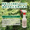 [Hinokio] Hinoki Deodorizer, 10.1 fl oz (300 ml)