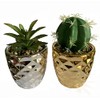 Leaf Set of Two Ceramic Planters with Artificial Succulent Plants,