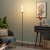 LED Floor Lamp with Remote Control, 65" Standing Lamp with