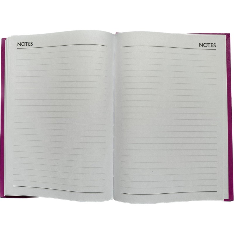 2025 diary A4 Day to a Page - PINK