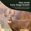 Hit List Seed® Grain Sorghum Food Plot Seeds for Deer