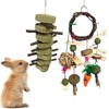 2PCS Rabbit Chew Toys, Hamster Chew Toys for Teeth, Rabbits