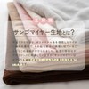 Sylphy's Throw Blanket, 27.6 x 39.4 inches (70 x 100
